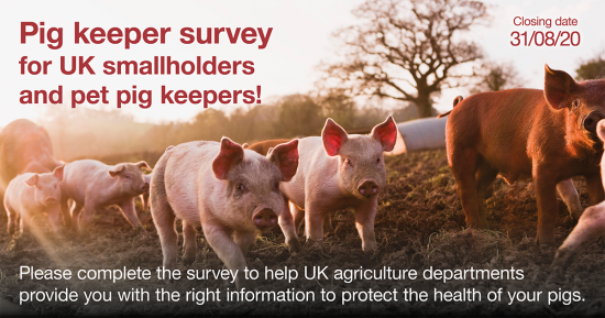 ASF smallholder survey